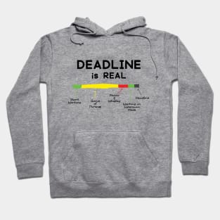 QA, Developer, Project Manager Hoodie